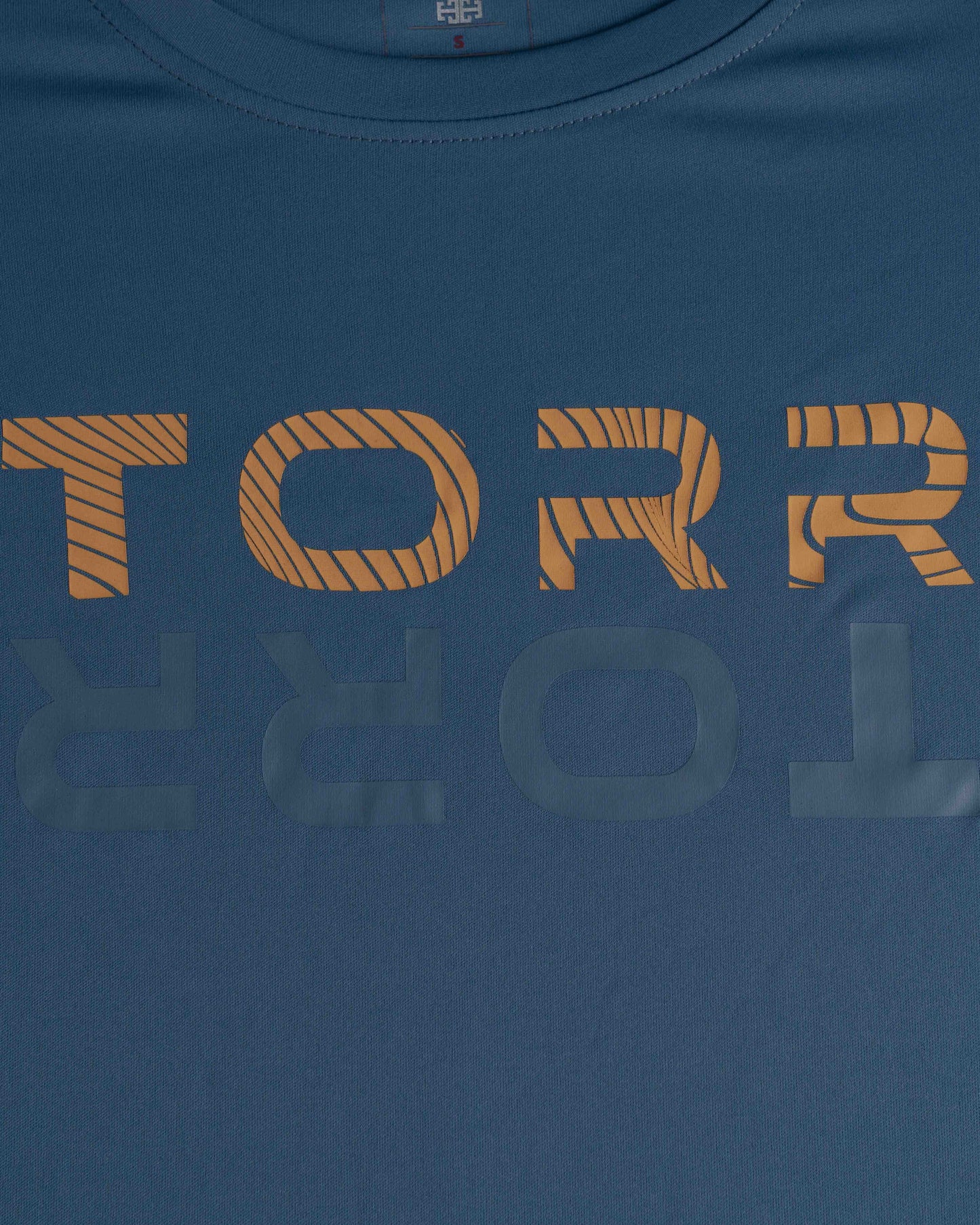 Men's T-shirt | DOLPHIN