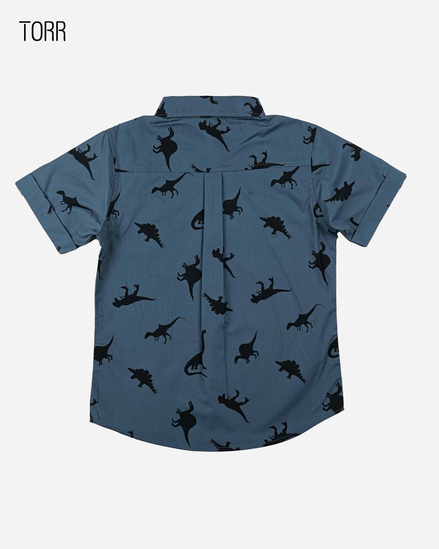 Boys Shirt | Dinosaur Aop