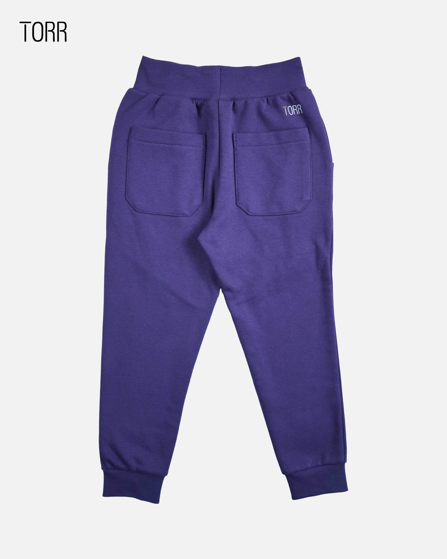 Boy's Jogger | Purple