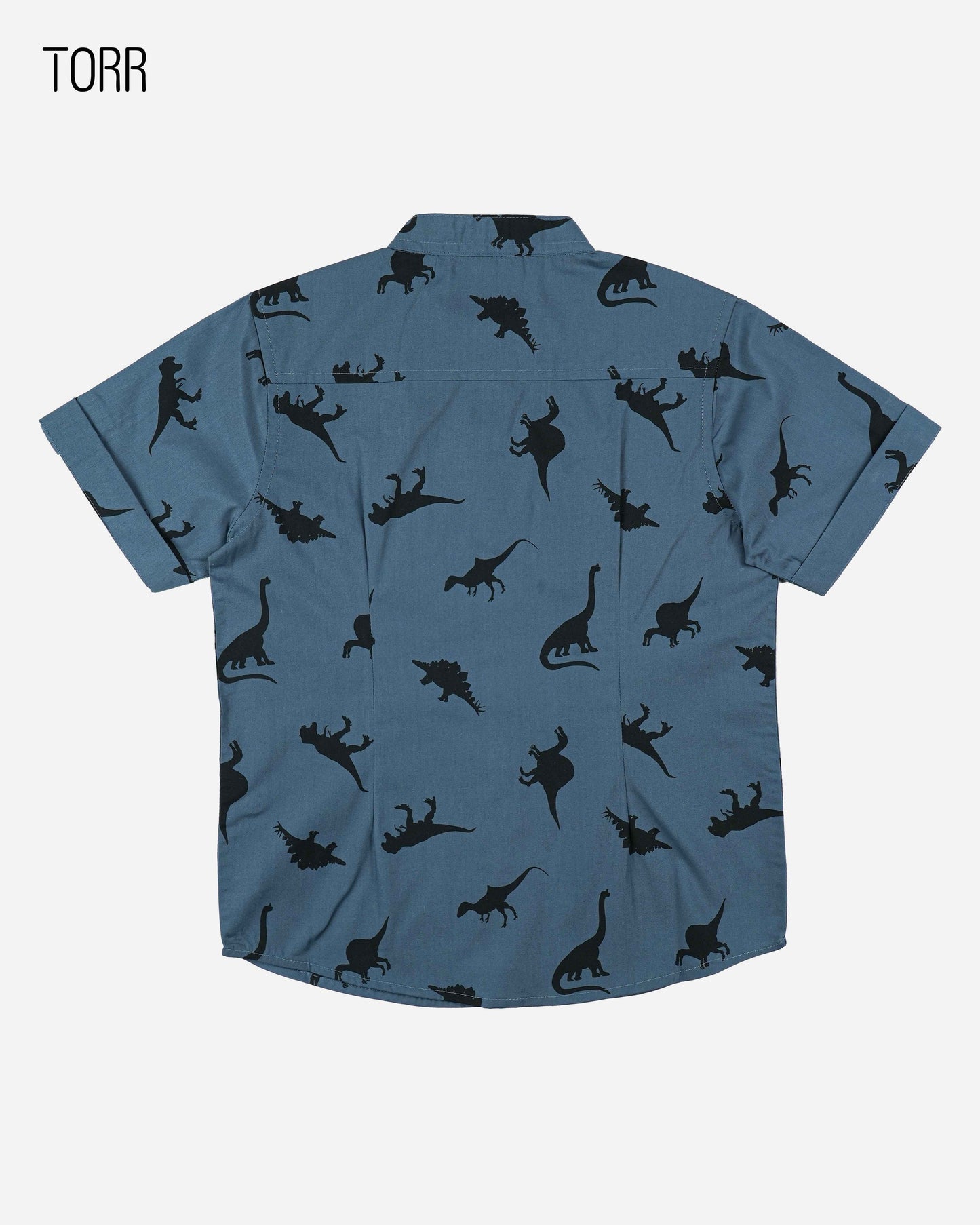 Boys Shirt | Dinosaur Aop