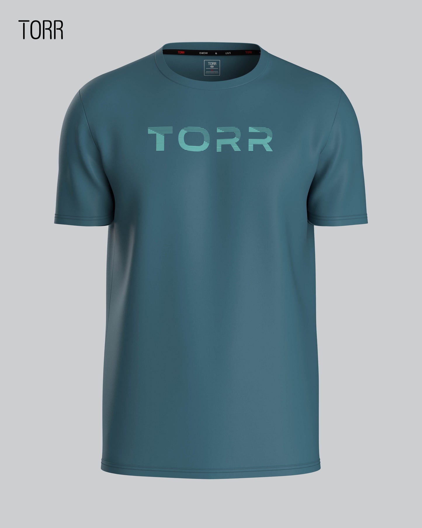 Men's T-shirt | DOLPHIN
