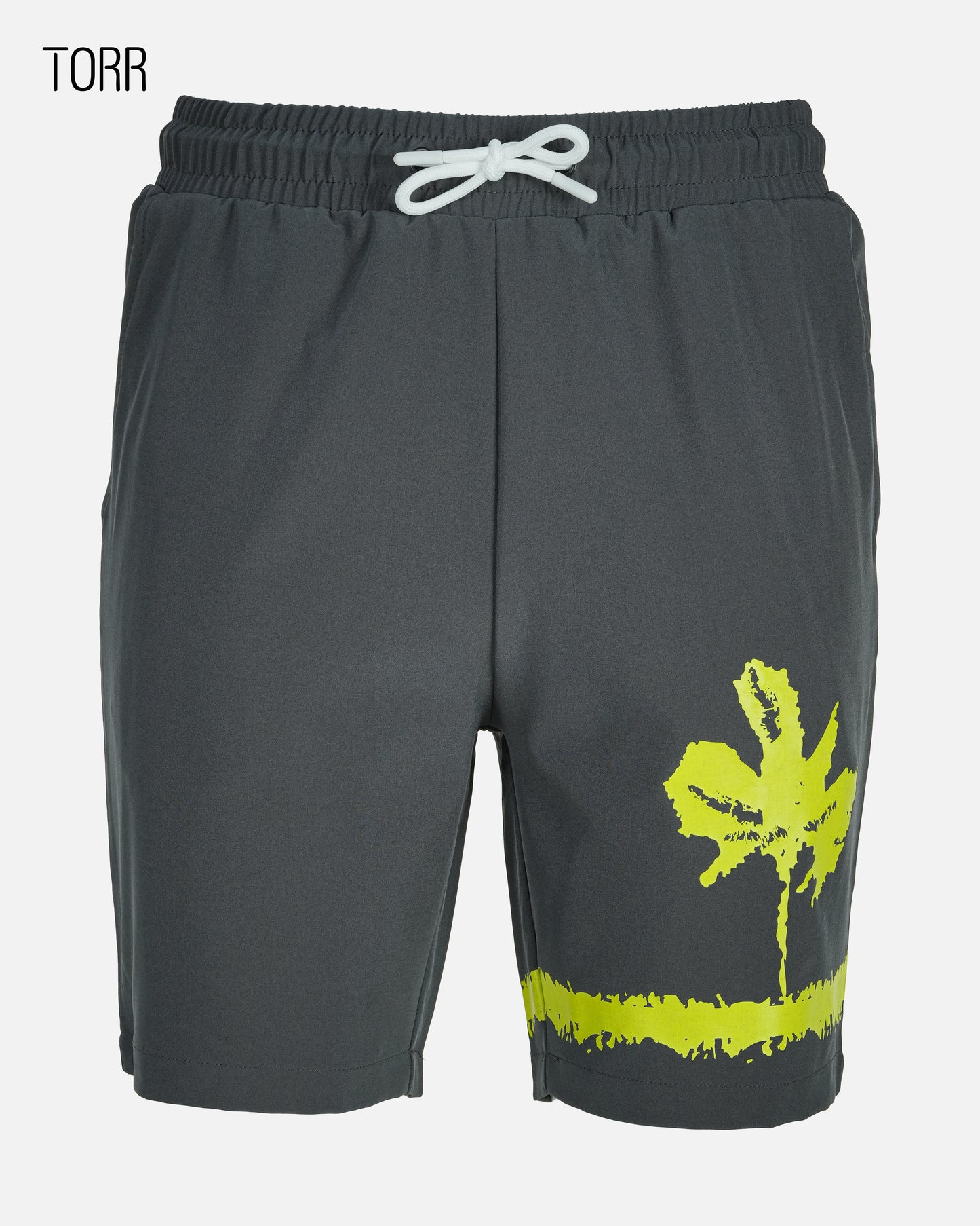 Mens Swim Shorts | Dark Grey