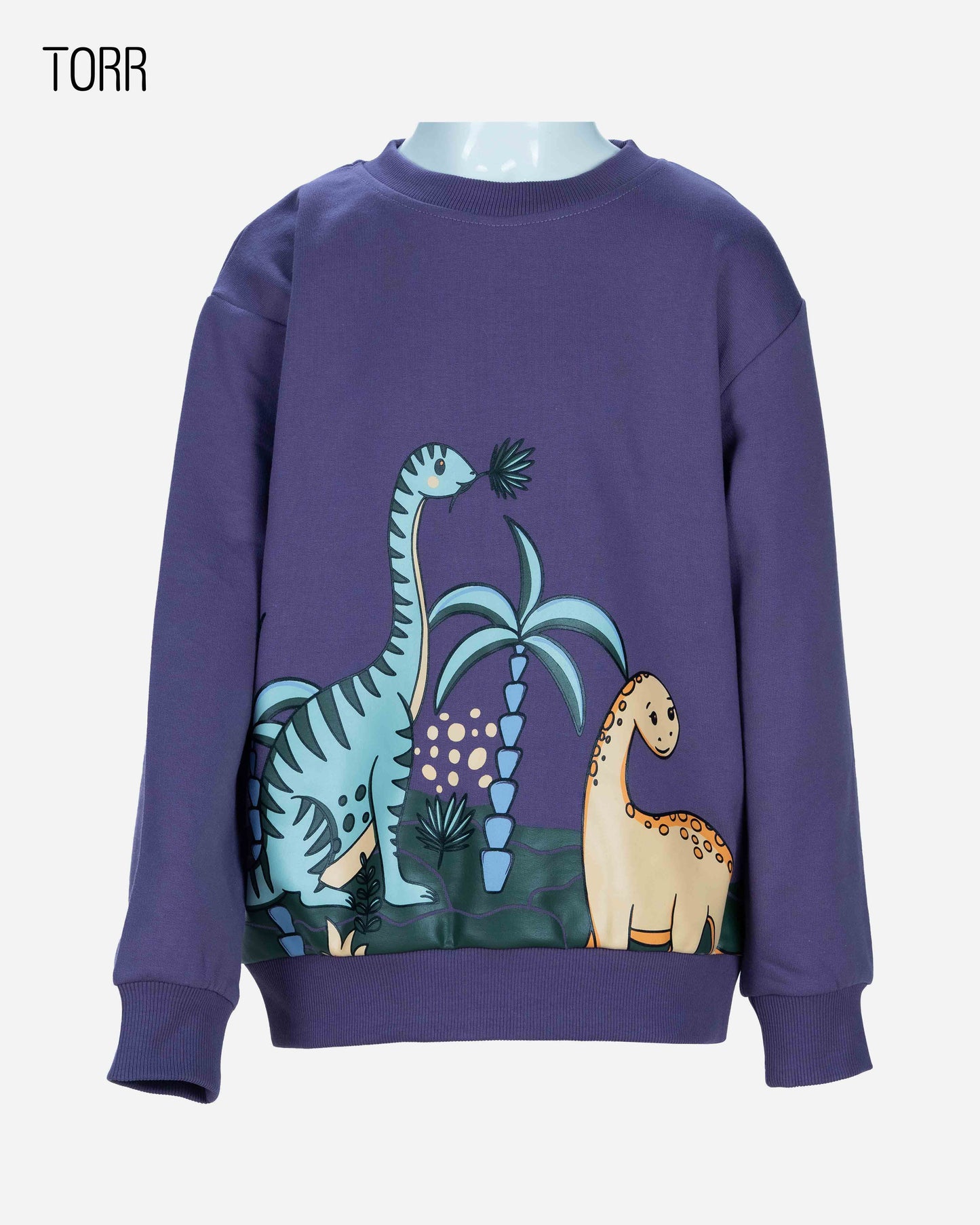 Boy's Sweatshirt | Dark Mauve