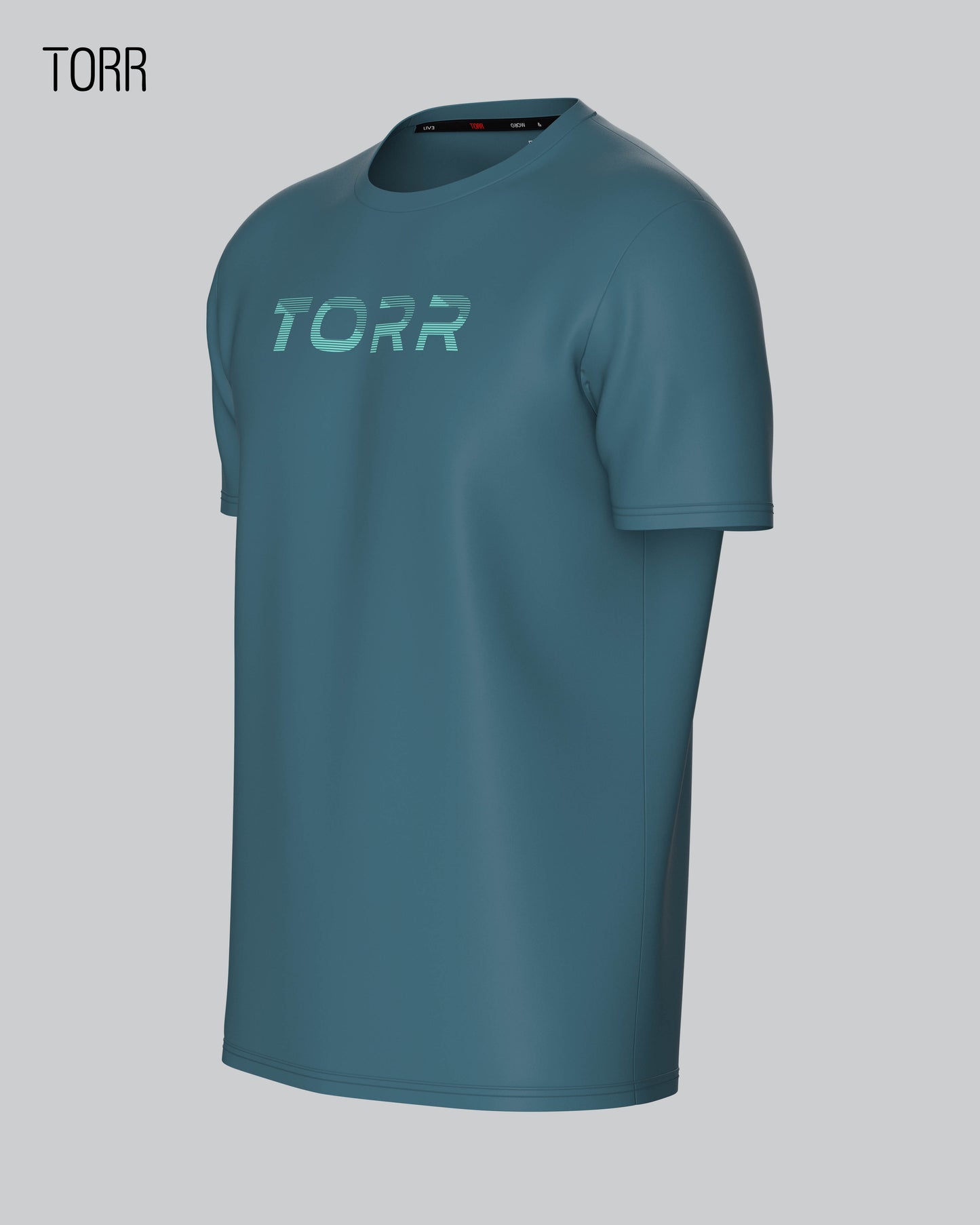 Men's T-shirt | DOLPHIN