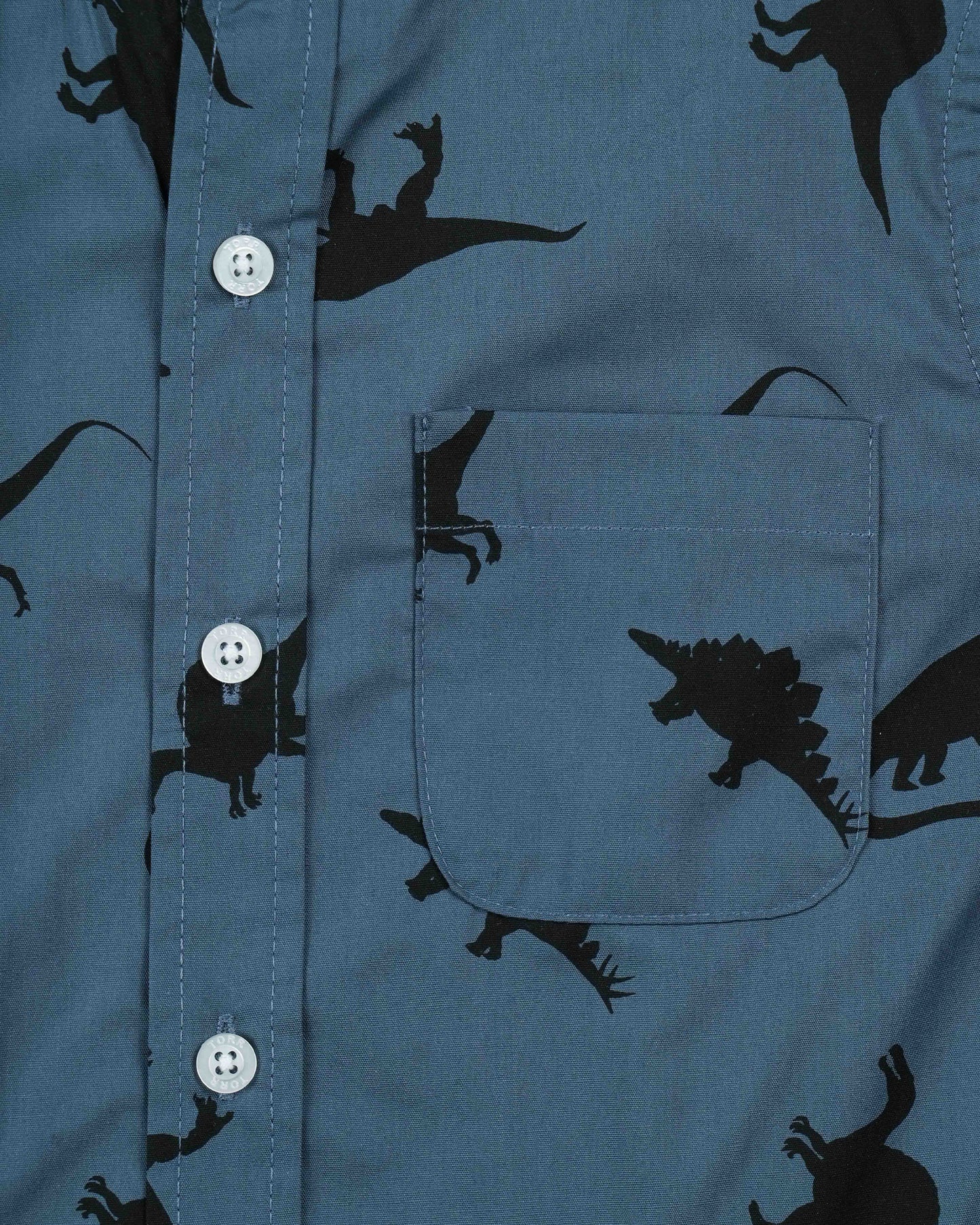 Boys Shirt | Dinosaur Aop