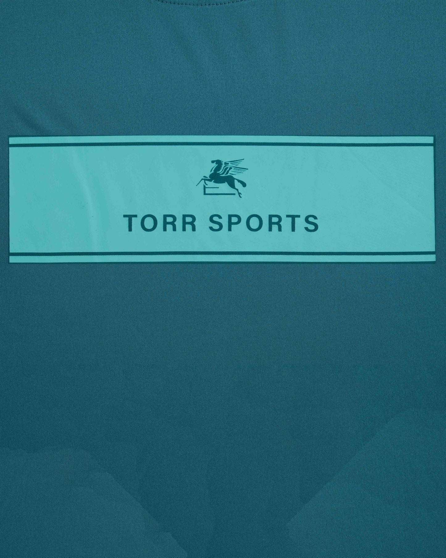 Men's T-shirt | DOLPHIN