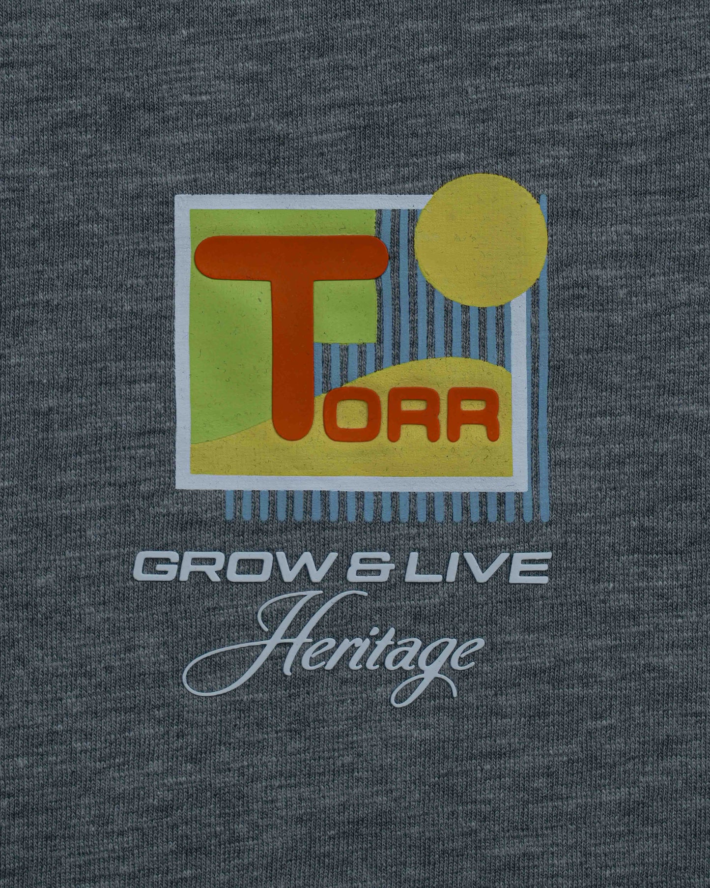 Men's T-shirt | Dark Grey