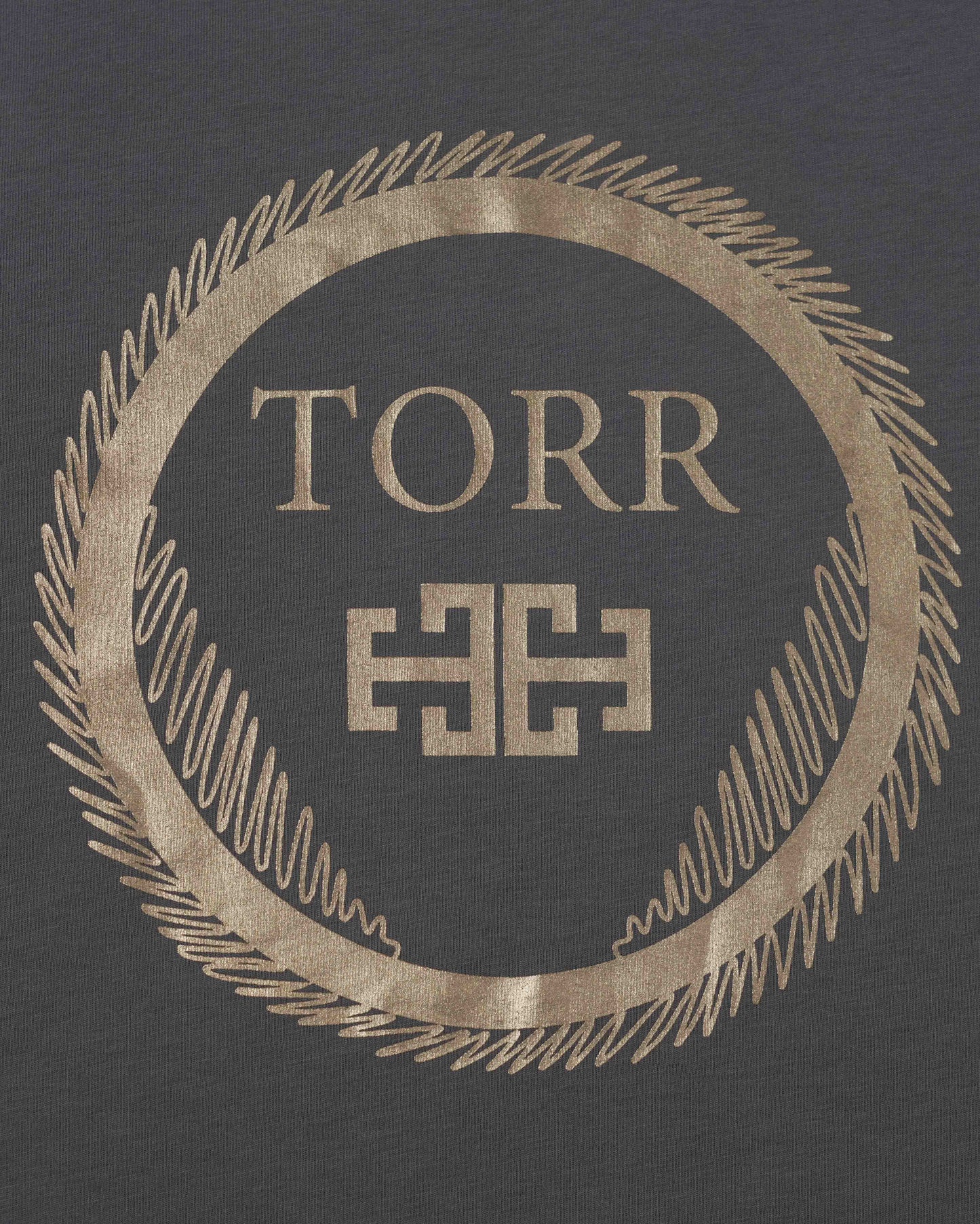 Men's T-shirt | Iron Gate