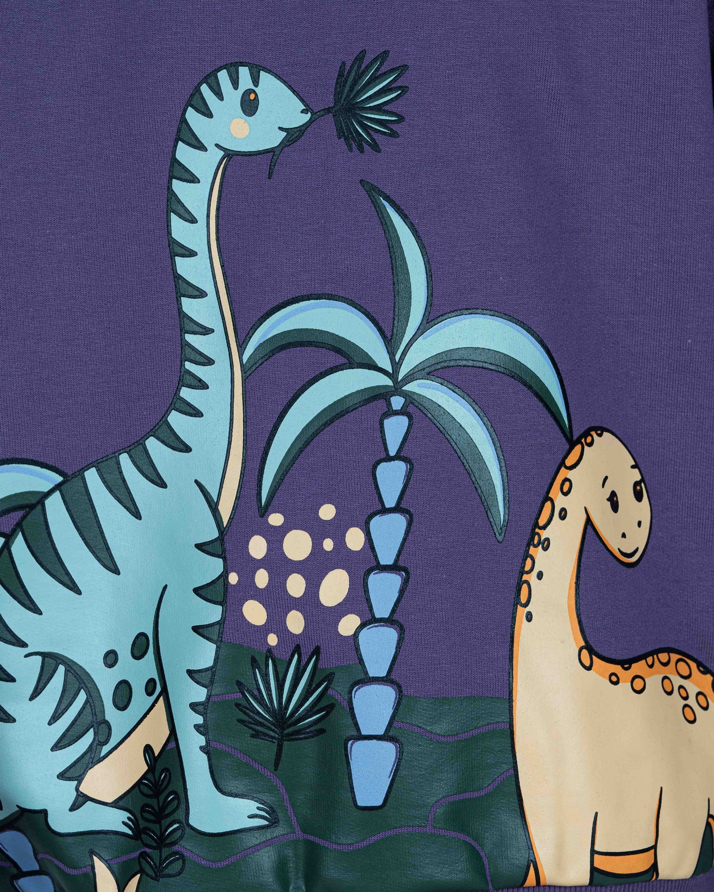 Boy's Sweatshirt | Dark Mauve