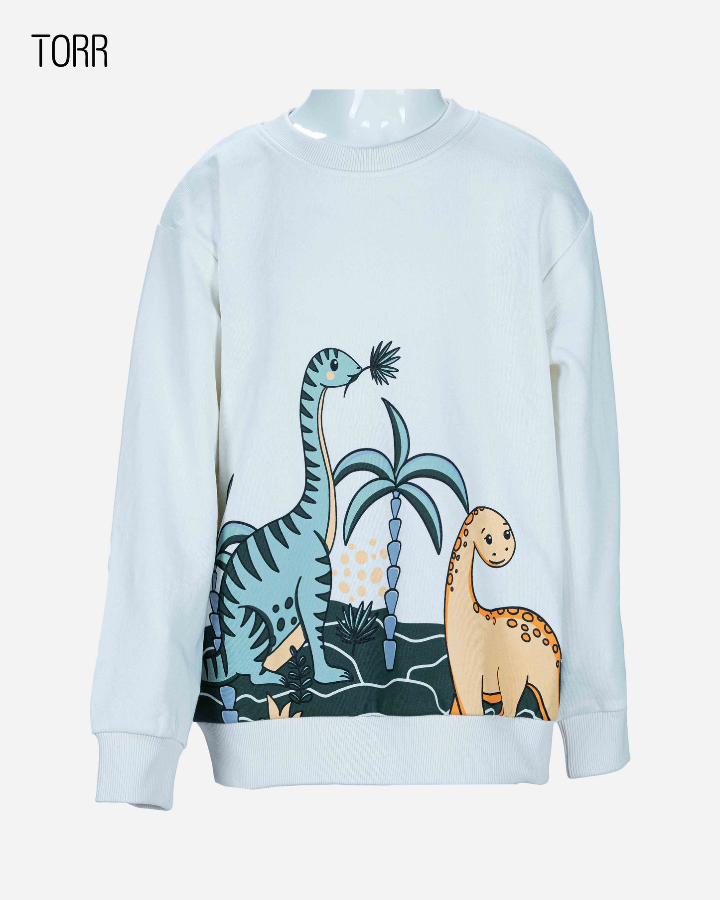 Boy's Sweatshirt | White