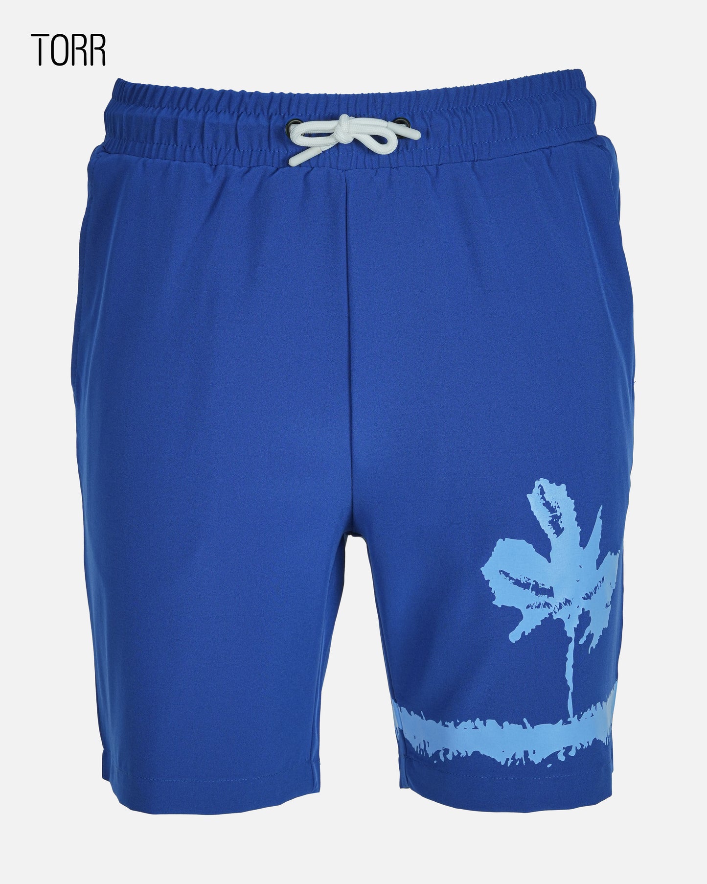 Mens Swim Shorts | Blue