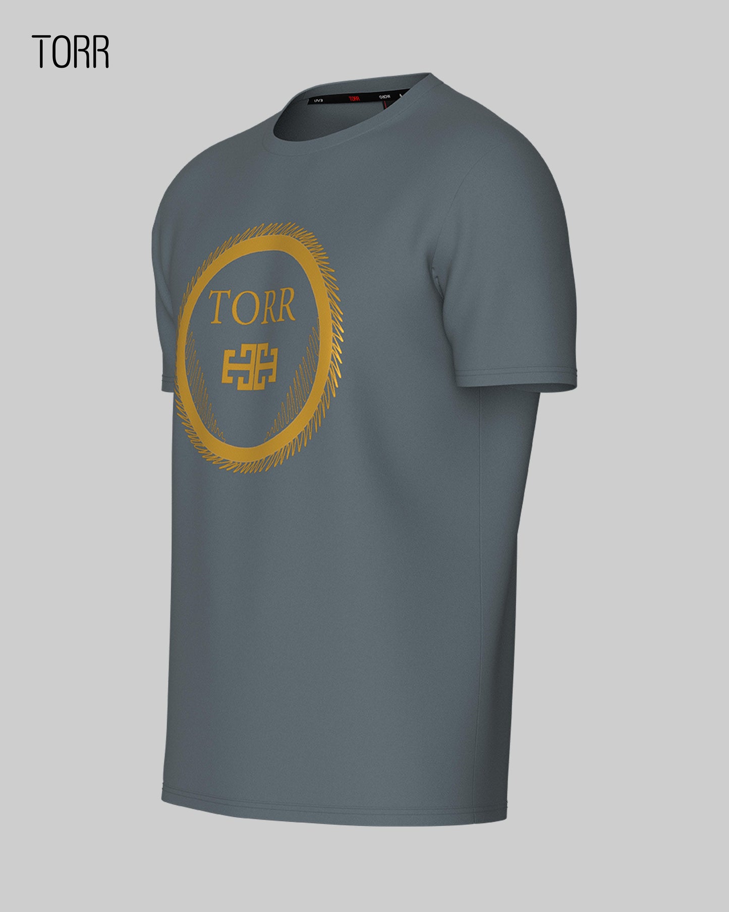Men's T-shirt |  Iron Gate