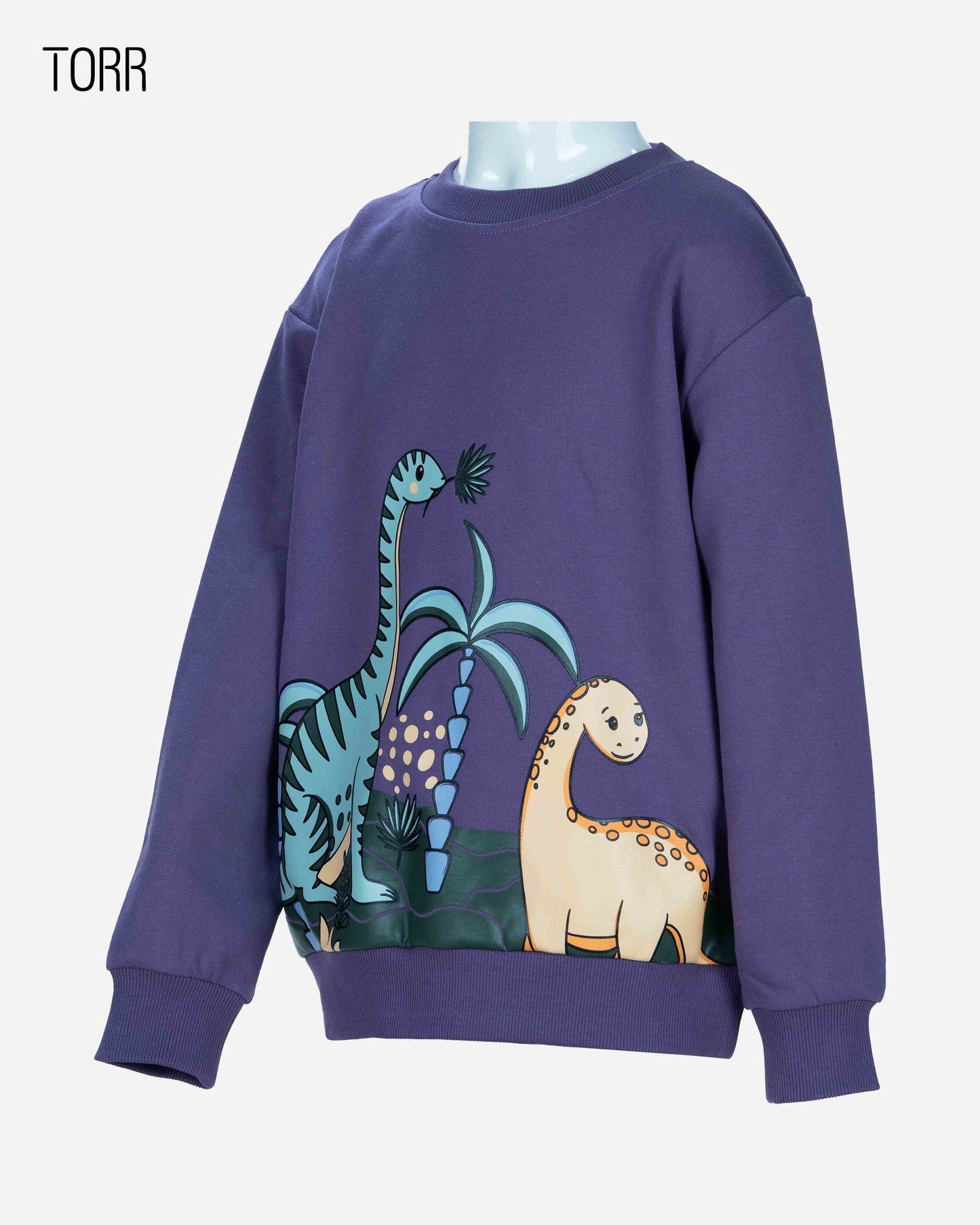 Boy's Sweatshirt | Dark Mauve