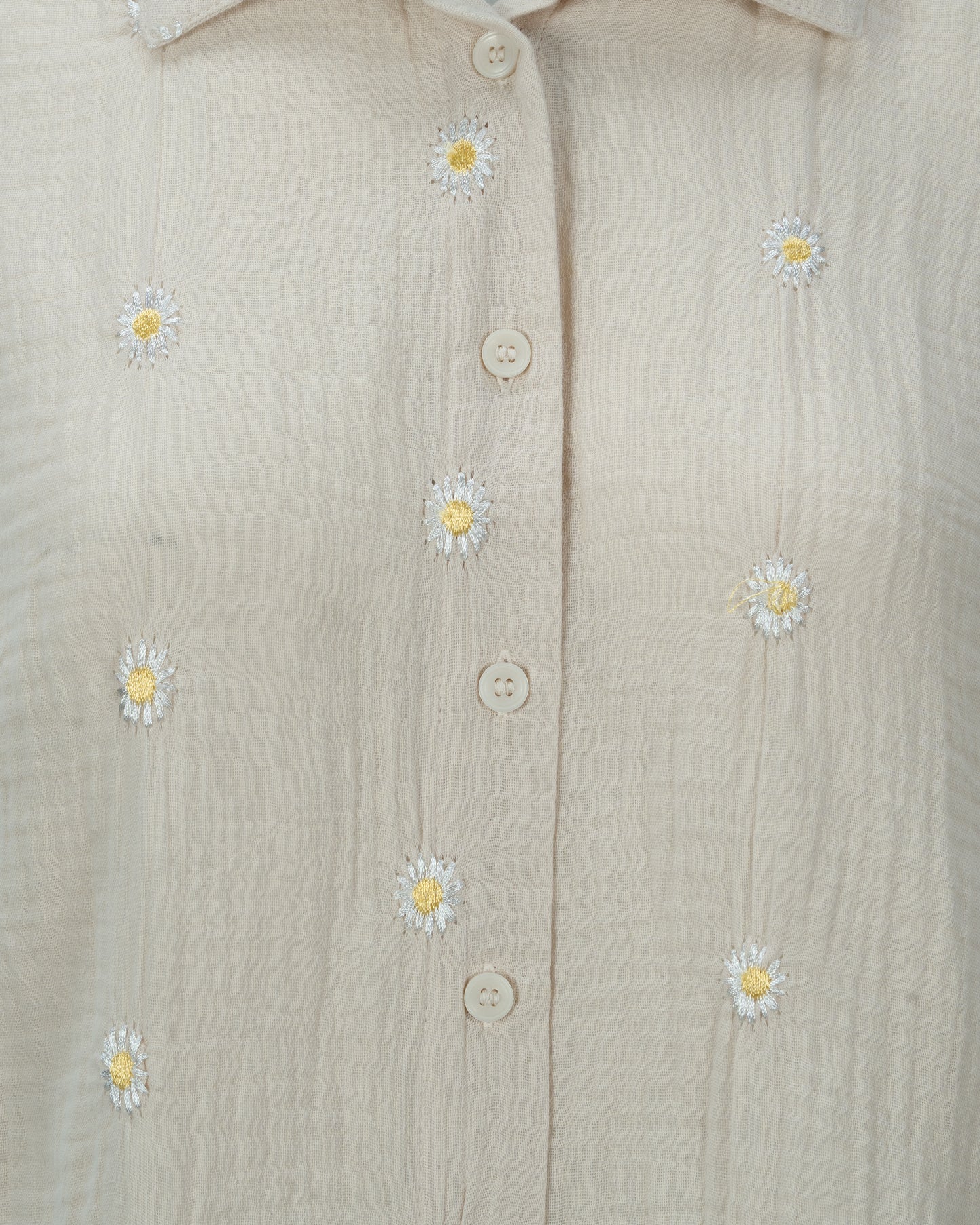 Women's Shirt | CREAM